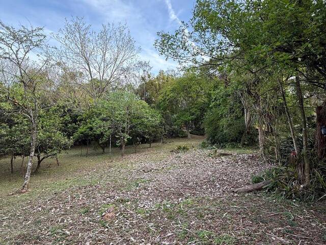 #52 - Área para Venda em Taquara - RS - 2